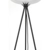 Stojanová lampa trojnožka Ø42x146 cm MAYSON dymové sklo+matná čierna